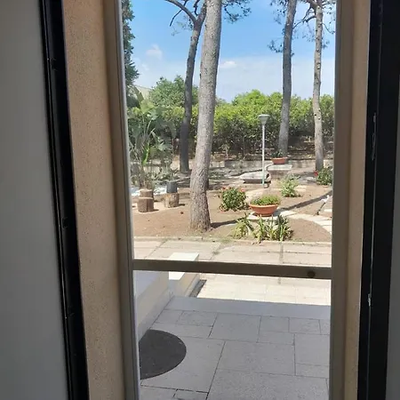 Rospi فيلة باري